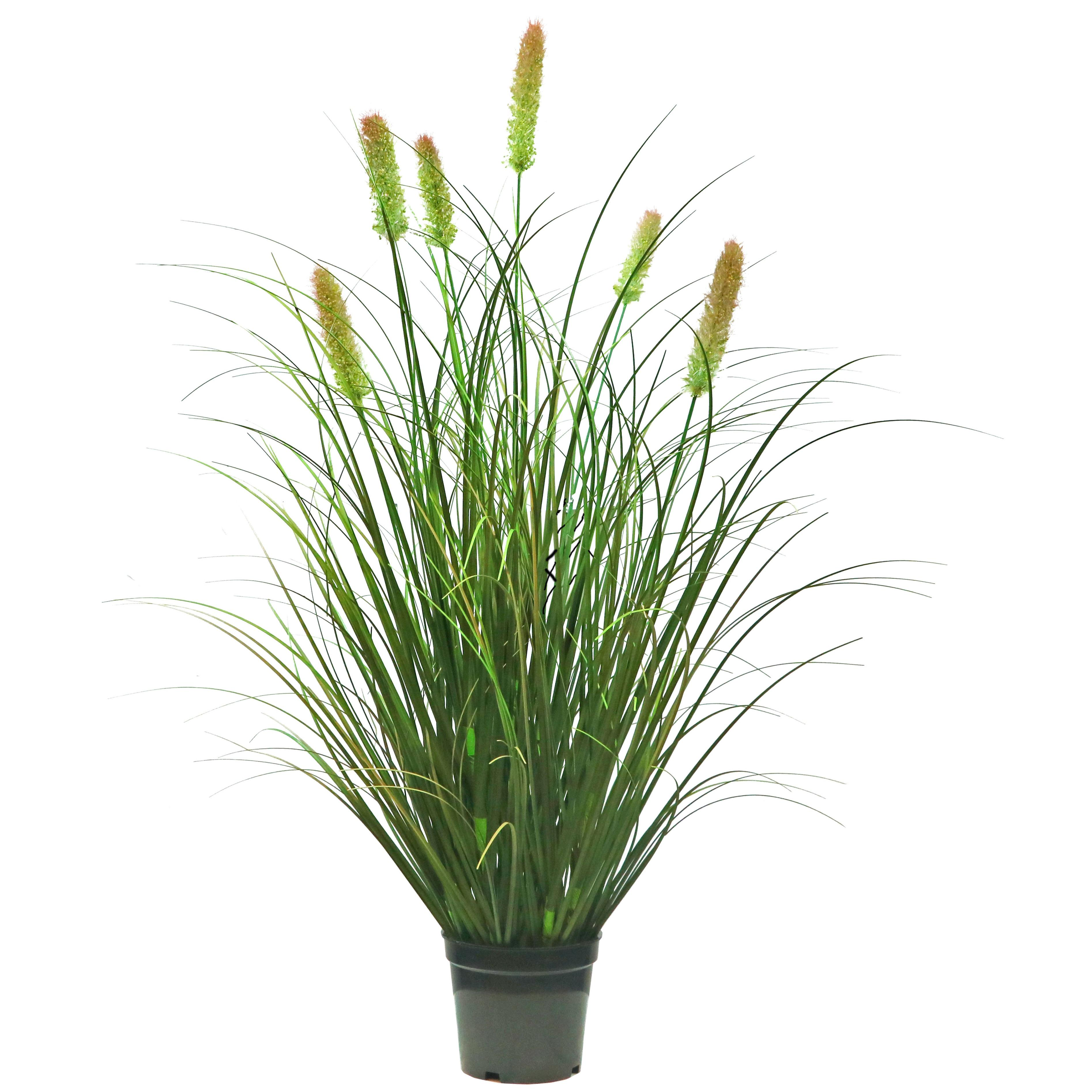 Artificial 6-Head Short Pine Grass with Curved Onion Grass Bonsai 30"H