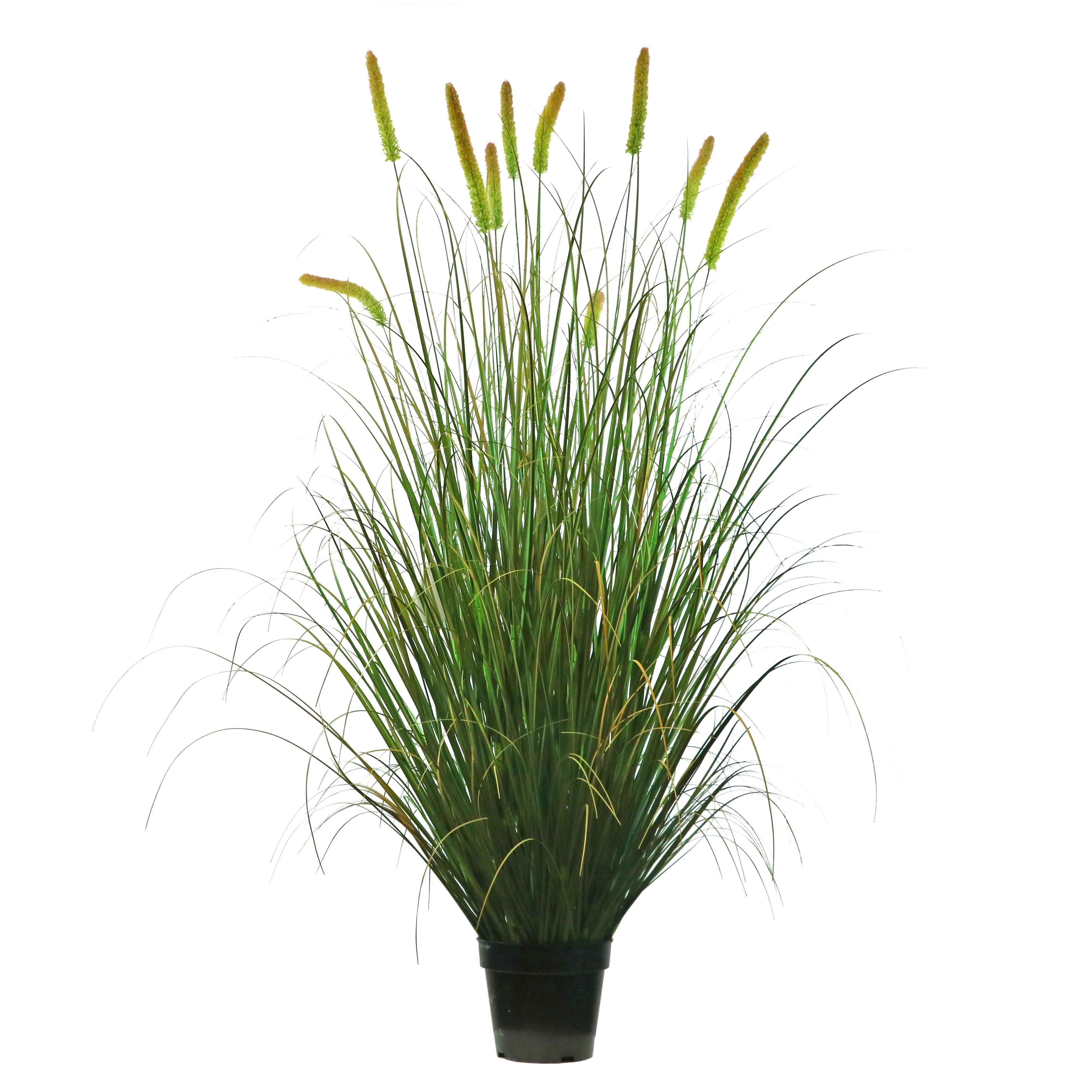 Artificial 10-Head Long Cat Tail with Curved Onion Grass Bonsai 67"H