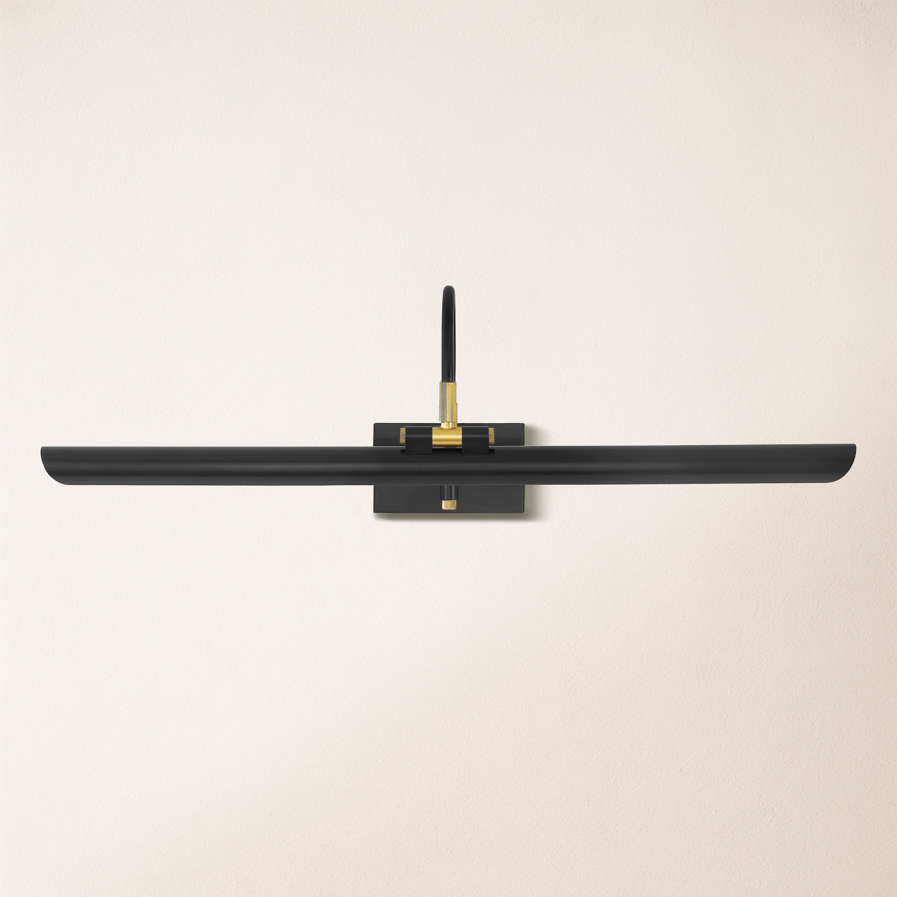 Aiden Large LED Picture Light 24" W