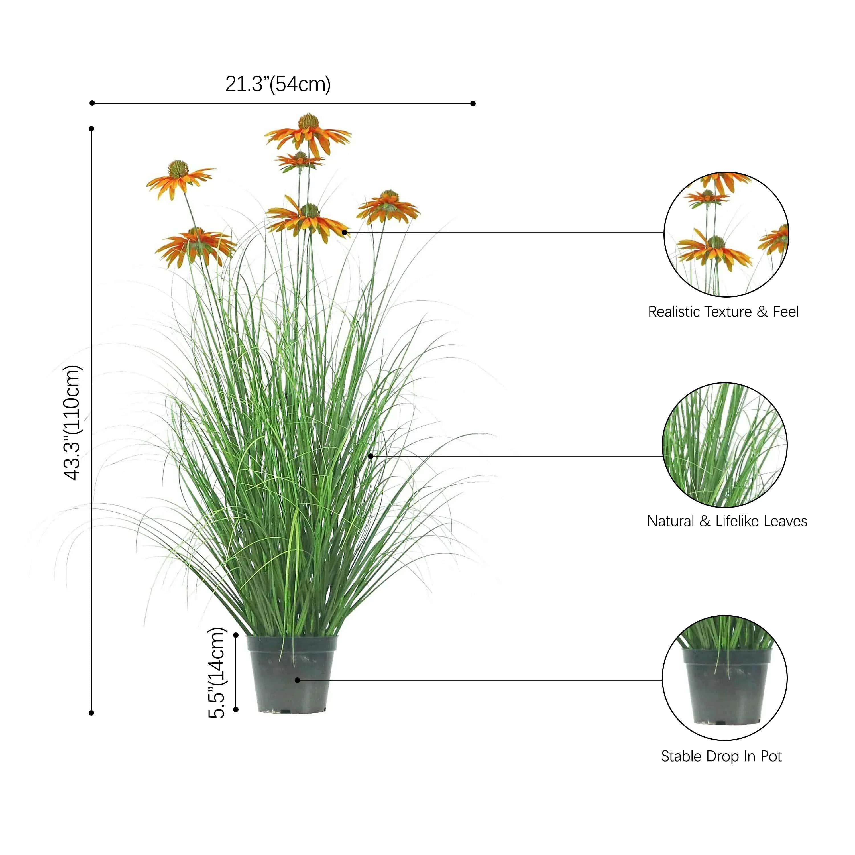 size-image