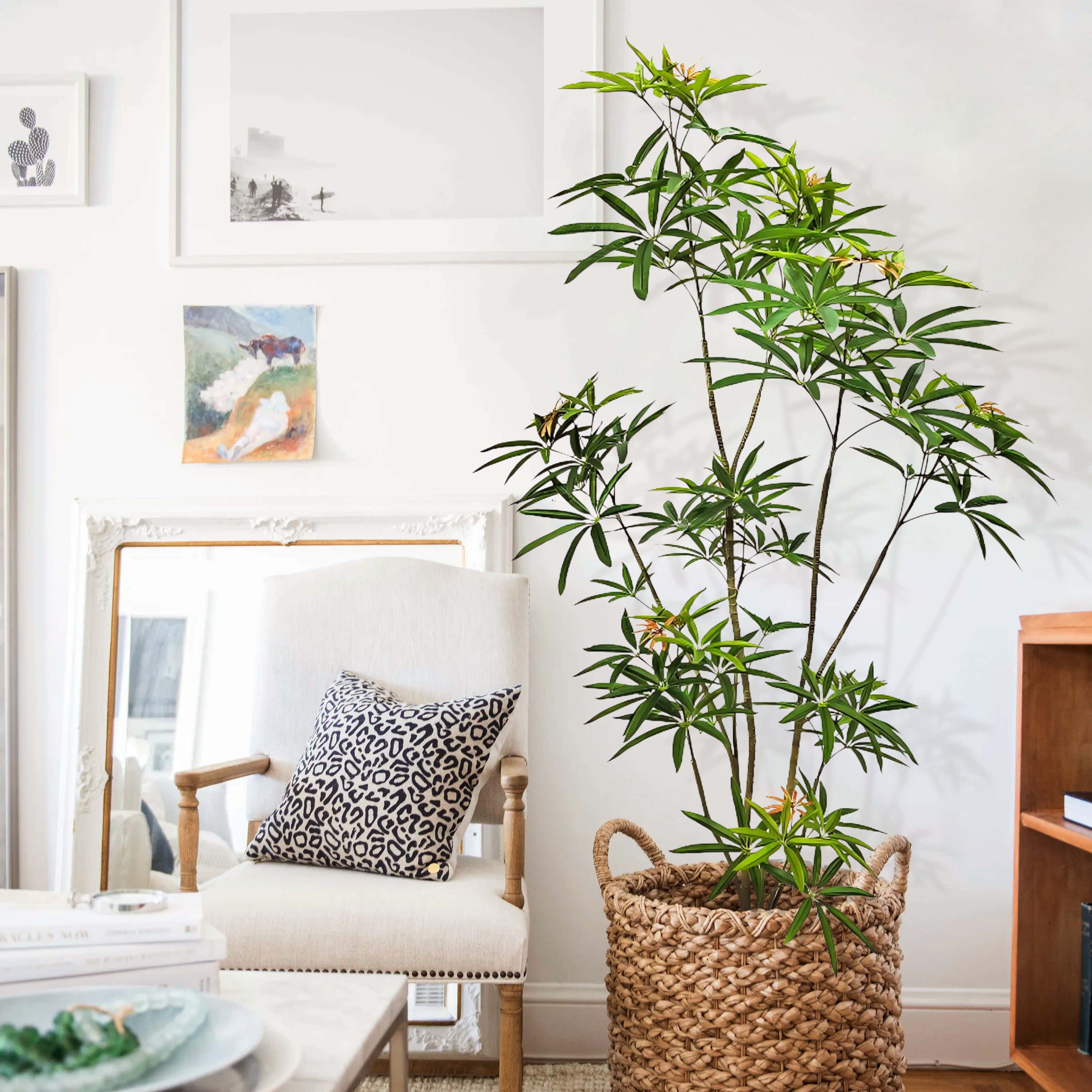 Faux Australian Umbrella Tree 71"H