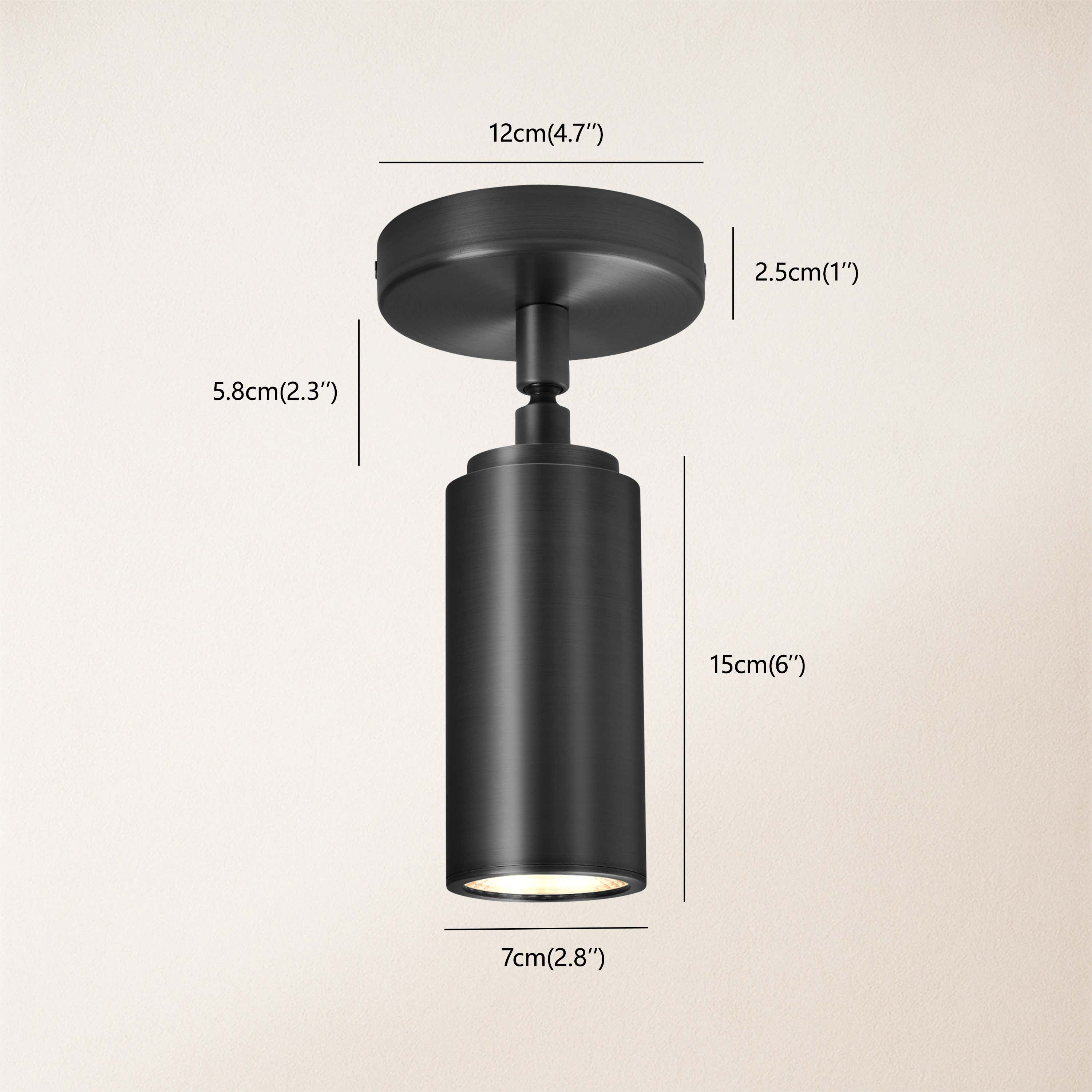 Art Glow Adjustable Spot Downlight Flush Mount 2.8"D