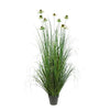 White-Flowered