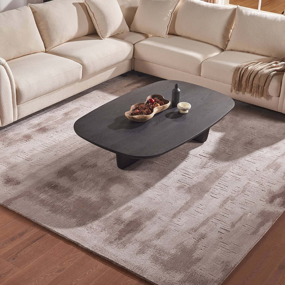 Modern neutral wool rug in living room