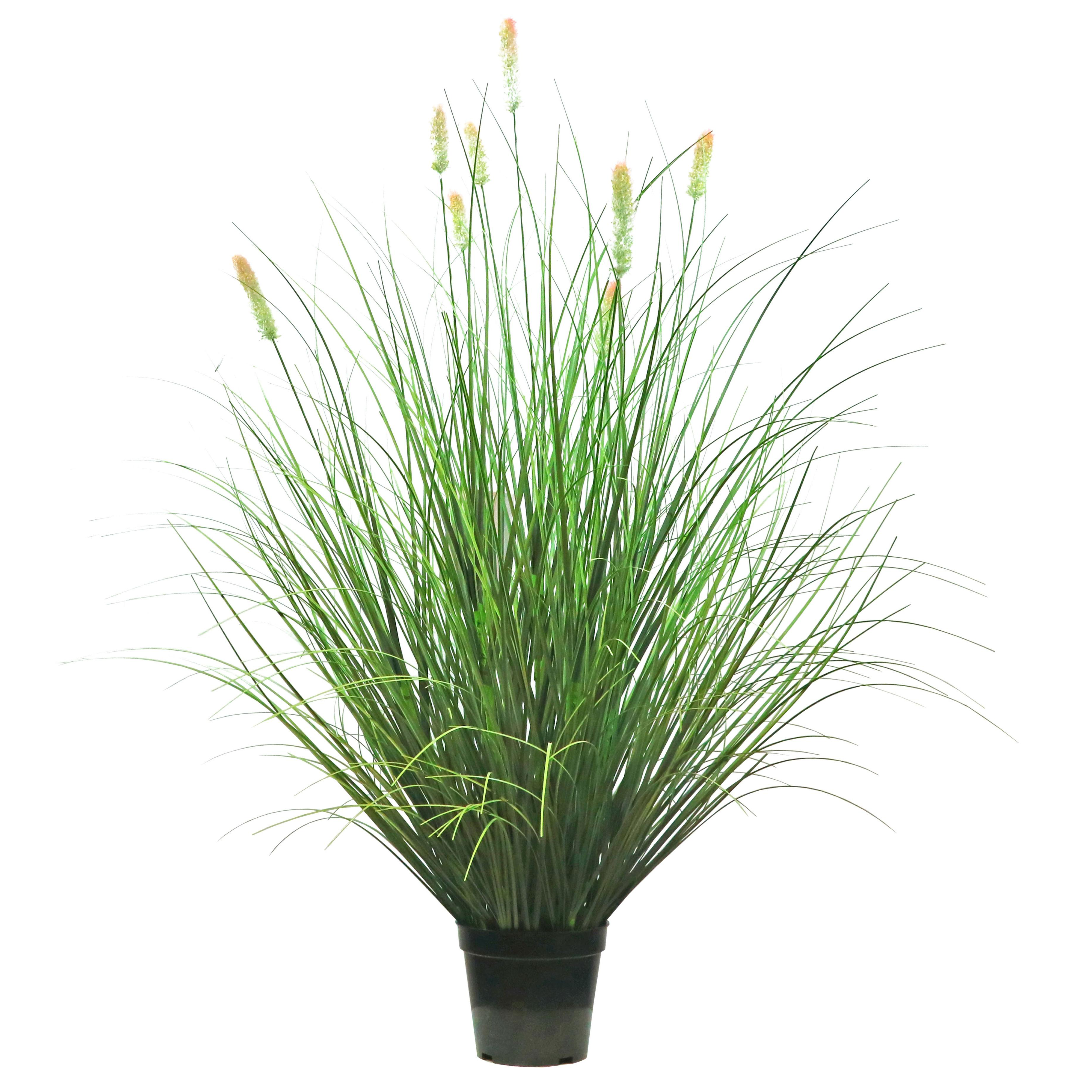 Artificial 8-Head Short Pine Grass with Curved Onion Grass Bonsai 5.5"H