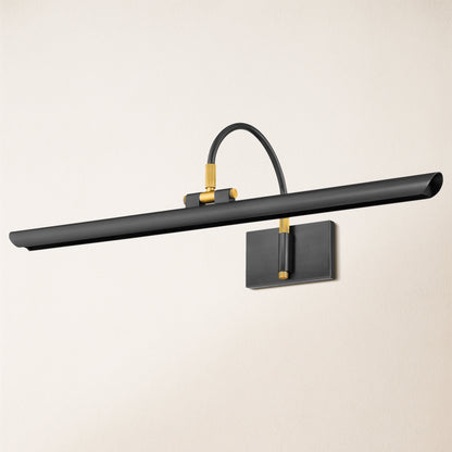 Aiden Large LED Picture Light 24" W