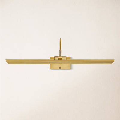 Aiden Small LED Picture Light  17.5" W
