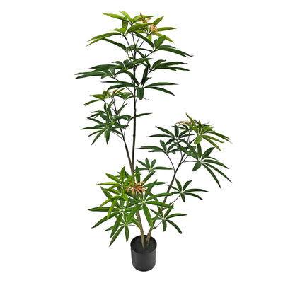 Faux Australian Umbrella Tree 47"H