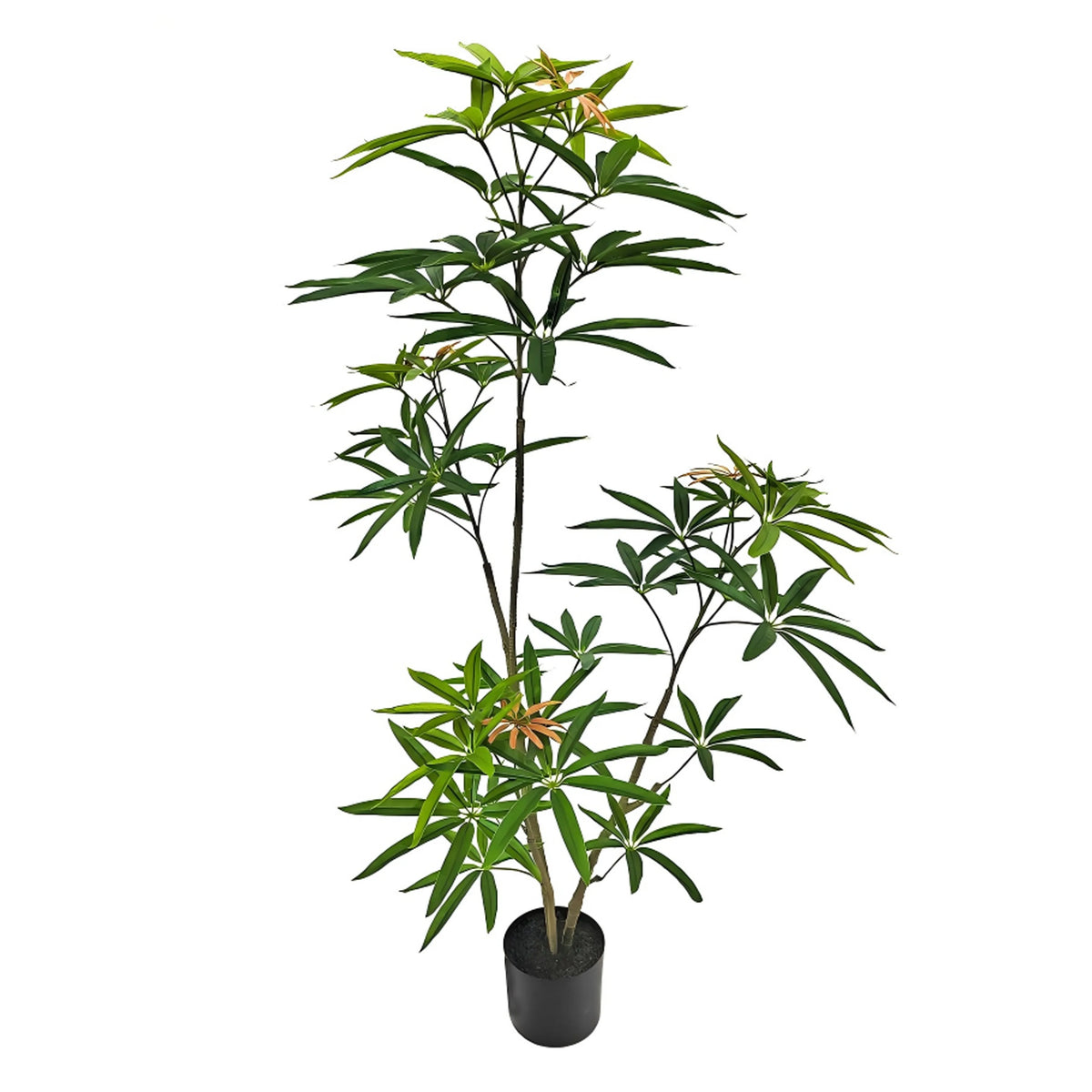 Faux Australian Umbrella Tree 47"H