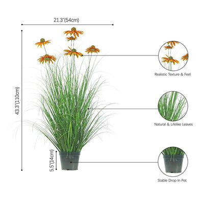 size-image