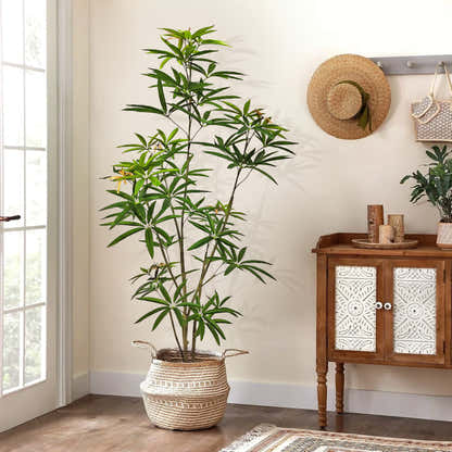 Faux Australian Umbrella Tree 59"H