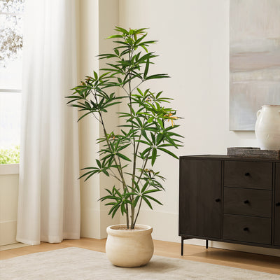 Faux Australian Umbrella Tree 59"H