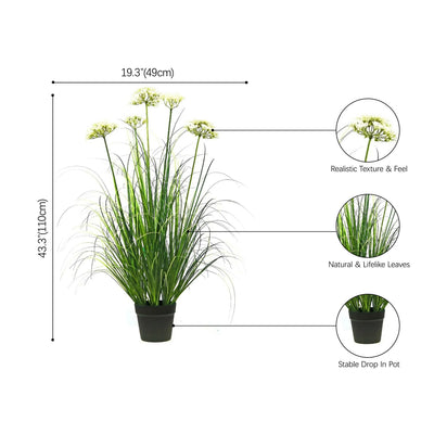 size-image