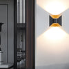 Black+Gold / 1-Light / White
