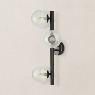 Elowen Glass Globe Wall Sconce 20"H