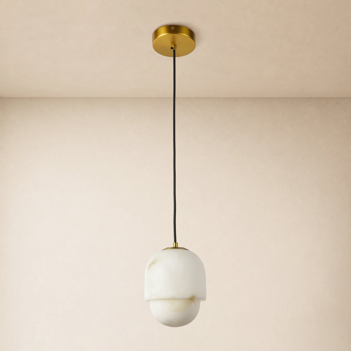Orlienne Resin Capsule Pendant 6"D