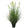 Artificial 8-Head Long Cat Tail with Curved Onion Grass Bonsai 55