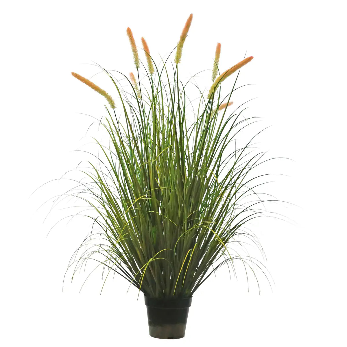 Artificial 8-Head Long Cat Tail with Curved Onion Grass Bonsai 55"H