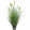 Artificial 6-Head Short Pine Grass with Curved Onion Grass Bonsai 30