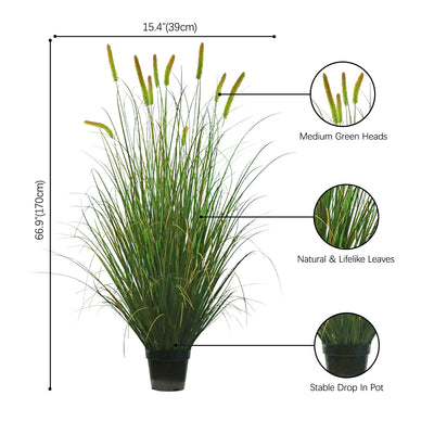 size-image