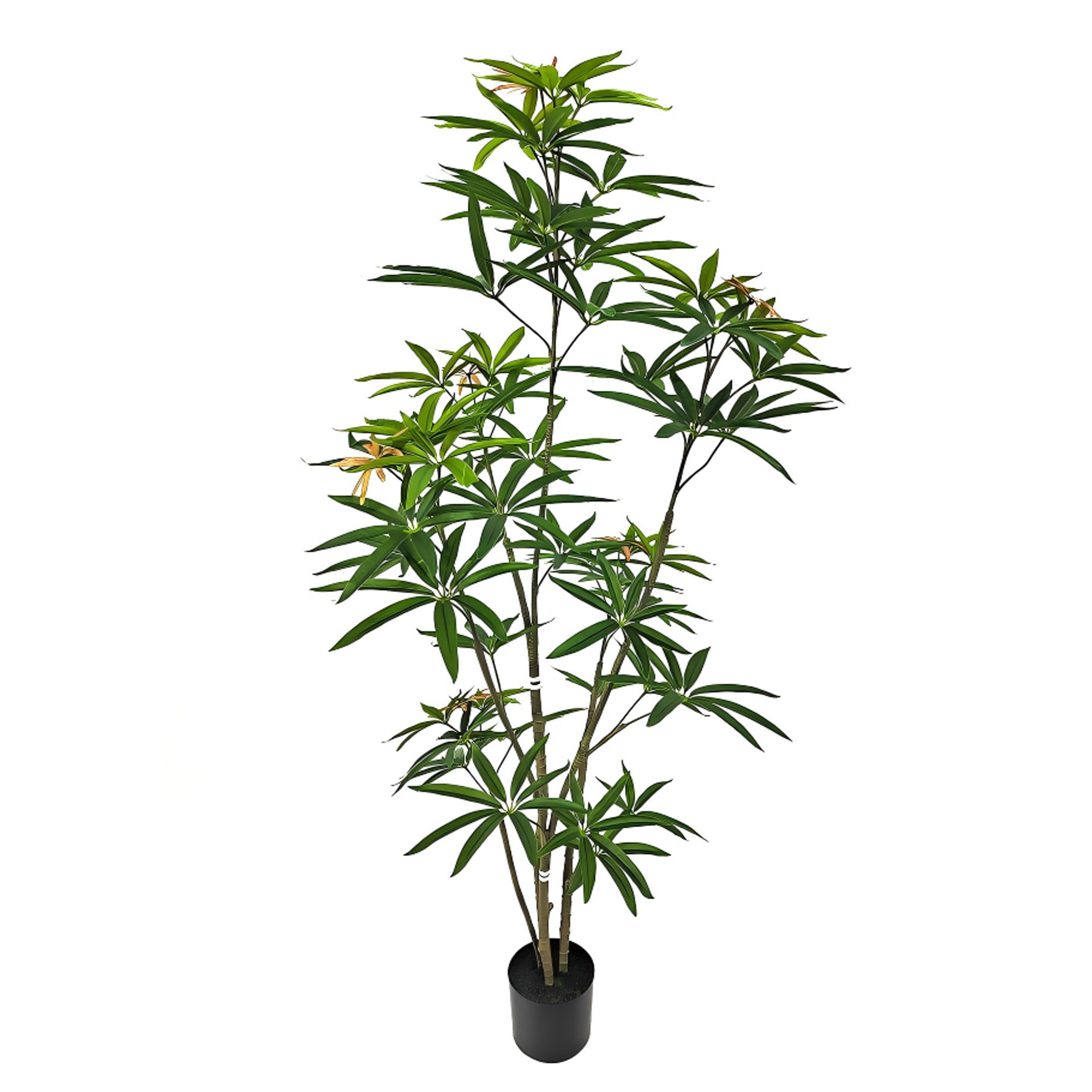 Faux Australian Umbrella Tree 59"H