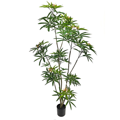 Faux Australian Umbrella Tree 71"H