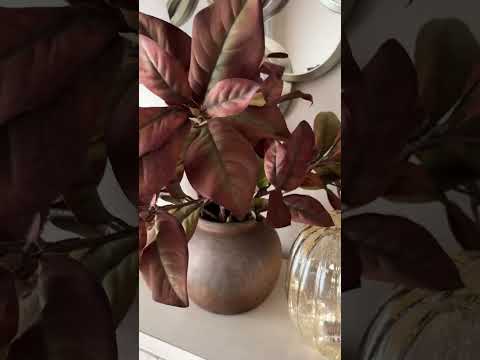 Sawyer Alabaster Round Chandelier 32"D