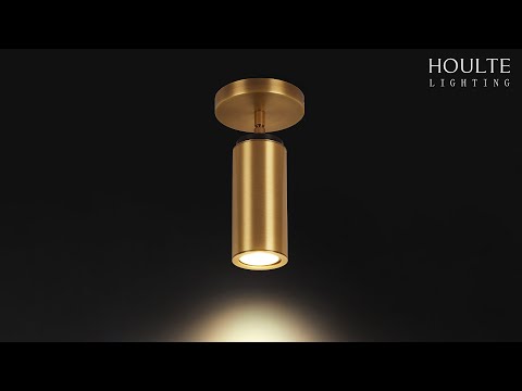 Art Glow Adjustable Spot Downlight Flush Mount 2.8"D